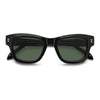 BLACK / 49-19-140 / GREEN POLARIZED