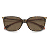 HAVANA / 56-18-140 / BRONZE POLARIZED