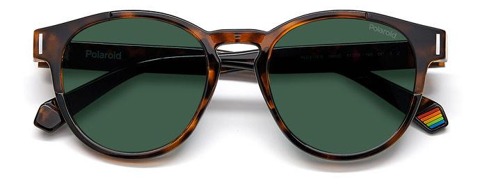 PLD 6175/S Sunglasses pantos Unisex | Polaroid Eyewear